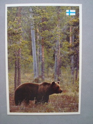 KARHU. käyttämätön LUONTOKORTTI