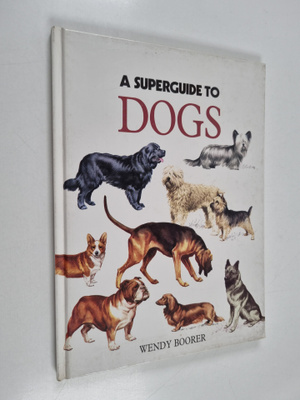 Wendy Boorer : A Superguide to Dogs