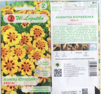 SAMETTIKUKKA 'Pascal'HUOM PÄiVÄYS! Ale -30%#