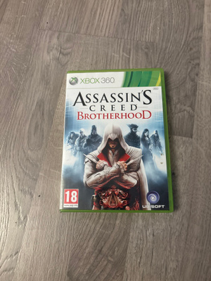 Assassin’s Creed Brotherhood