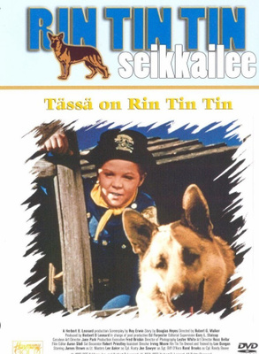 Rin Tin Tin Seikkailee :  Tässä On Rin Tin Tin  -  DVD