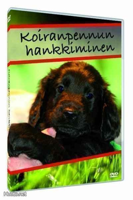 Koiranpennun hankkiminen DVD