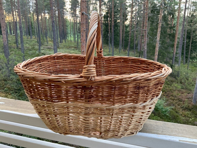 Isokokoinen pajukori