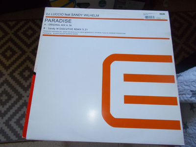12" VINYYLI SINKKU DJ LUCCIO ft SANDY WILHELM ** PARADISE **