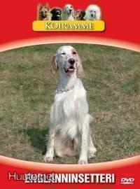 Koiramme - Englanninsetteri DVD