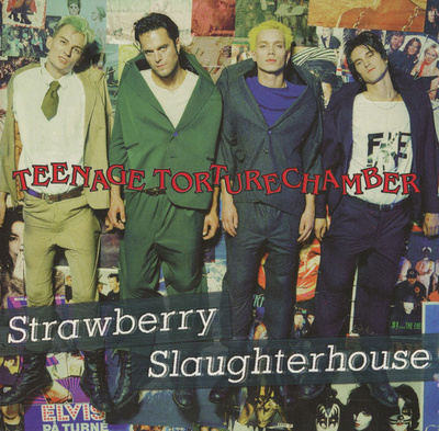 Strawberry Slaughterhouse - Teenage Torturechamber (CD) NM!!