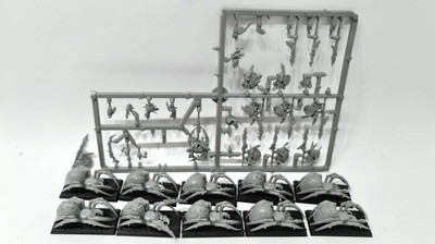 WHFB - Forest Goblin Spider Riders [F68]