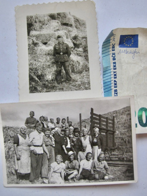 2 Valokuvaa Natsi Saksa Sotilas Maataloustyössä Oulu 1942