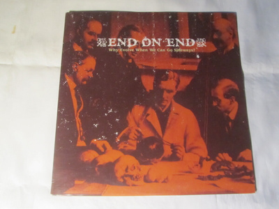 End On End:Why Evolve When We Can Go Sideways ? LP 2002 Punk
