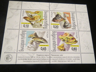 Bulgaria 2004: pienoisarkki - kääpäsienet