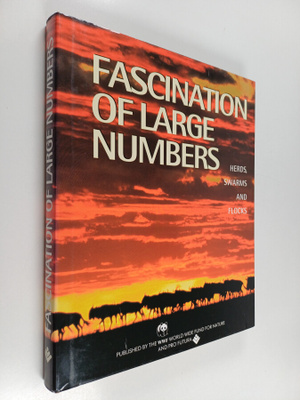 Fascination of Large Numbers : Herds, Swarms and Flocks