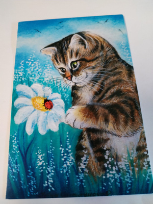Kissa kortti,kulkematon.
