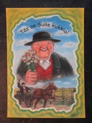 KULKEMATON TERHO PELTONIEMI HÖRÖLÄ SARJA TÄS ON SULLE KUKKIA