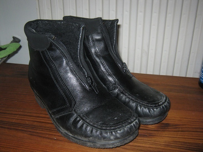 Talvinilkkurit