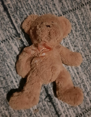 Pörröinen nalle