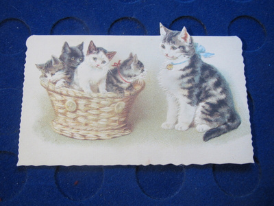 Onnittelukortti. Kissakortti. Taittokortti