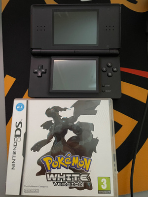 Nintendo DS pikem white