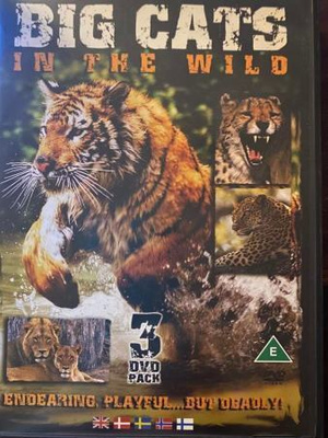 Big Cats In The Wild
