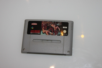 Pit fighter (SNES)
