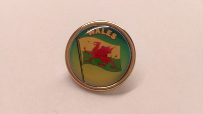 Pinssi Wales