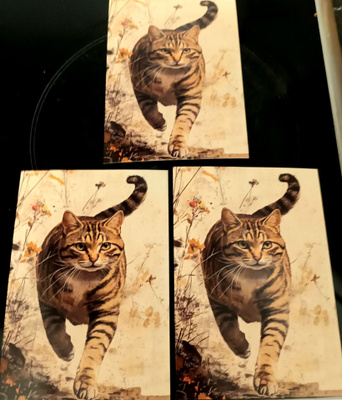 Korttikuvat KISSAT / 3 kpl -setti / A6