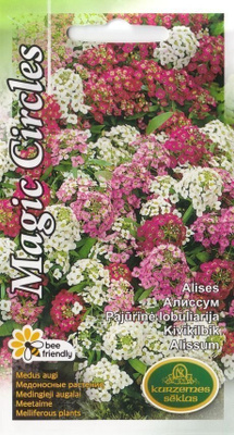 Tuoksupielus 'MAGIC CIRCLES' - siemenet #
