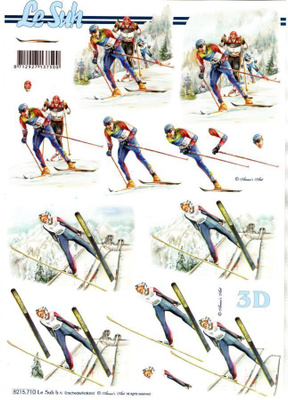 3D "HIIHTOKILPAILUJA & MÄENLASKUA" / Le Suh