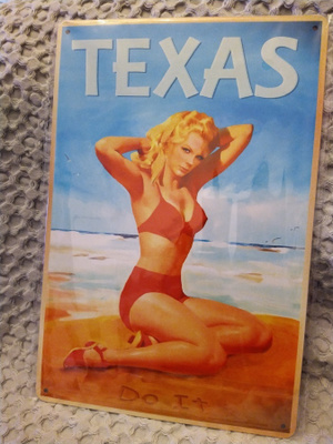 PELTIKYLTTI TEXAS 20X30CM *UUSI!*