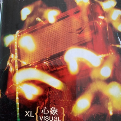 XL: Visual * FIN 2003