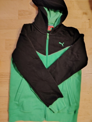 Puma huppari 152