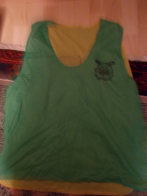 ILVES