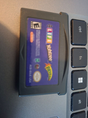 GBA Game of Life/Yahtzee/Payday