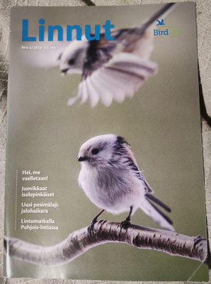LINNUT - lehti 3/2018 BirdLife