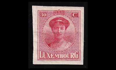 Luxemburg 141 ** Postimerkkinäyttely Charlotte 25 C (1922)