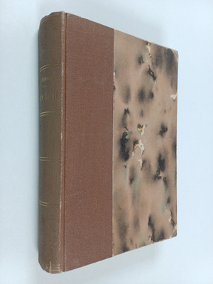 Guy de Maupassant : Notre coeur