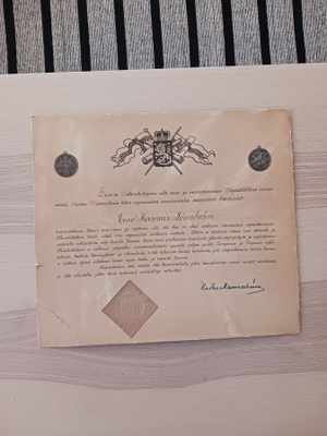Vapaussodan muistomitalin myöntökirja 1918
