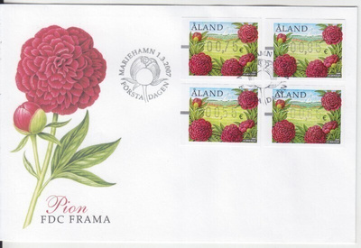 FDC 2007 framasarja