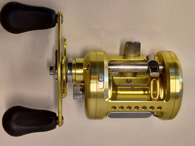 +++Daiwa Luna 300 L+++