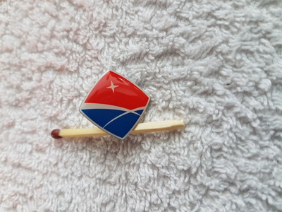 PINSSI