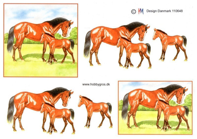3D °°~HEVONEN & VARSA~°° /Hobbygros