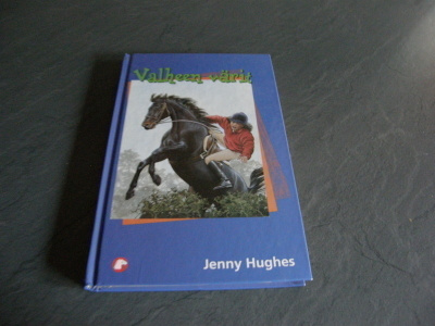 Jenny Hughes Valheen värit