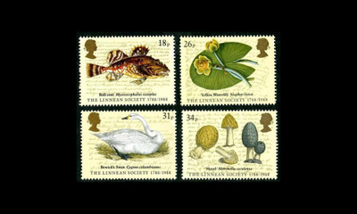 Iso-Britannia 1131-4 ** Linné-yhdistys 200v (1988)