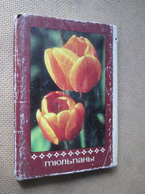 CCCP: 21 tulppaanikorttia