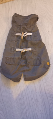 Koiran anorakki kurakelille 35cm