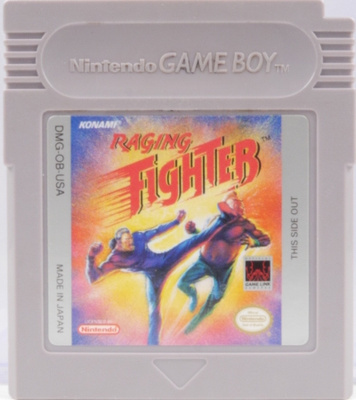 Raging Fighter