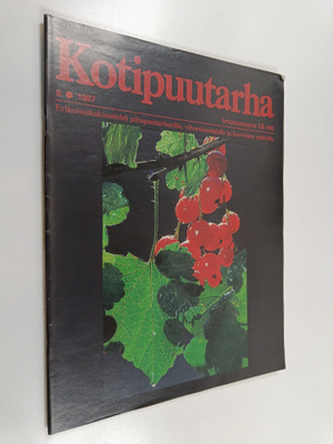 Kotipuutarha 8/1987