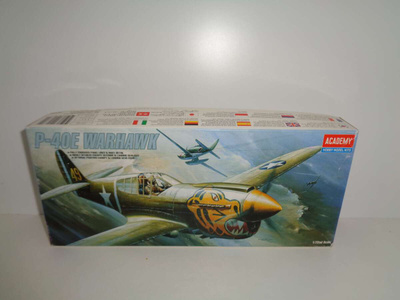 P-40E Warhawk   1/72