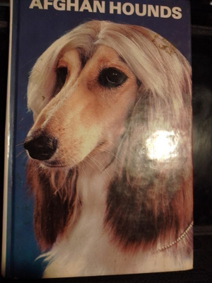 AFGHAN HOUND