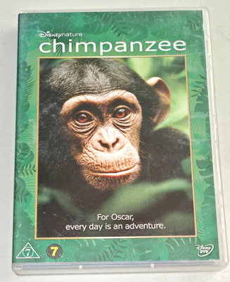 Chimpanzee