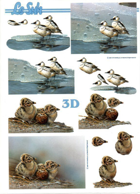 3D "°RANTALINTUJA & POIKASIA"° /Le Suh